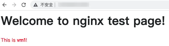 centos_nginx_verify